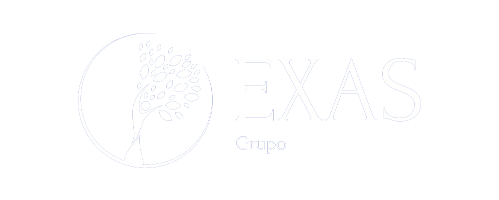 grupoexas.com